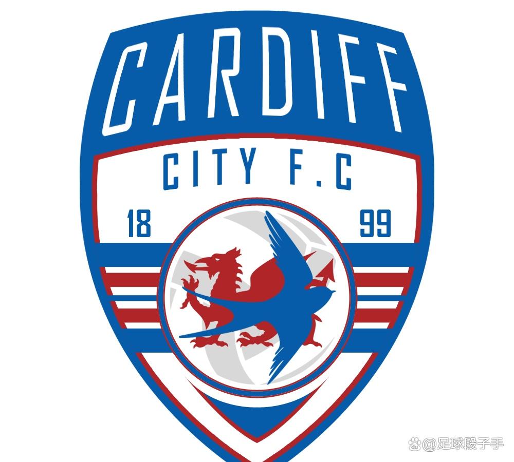 卡迪夫城客场遭遇失利，保级前景堪忧