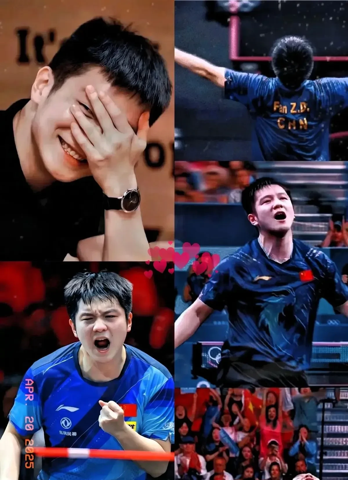 比利时乒乓球队翻盘韩国乒乓球队，张继科送出助攻的简单介绍