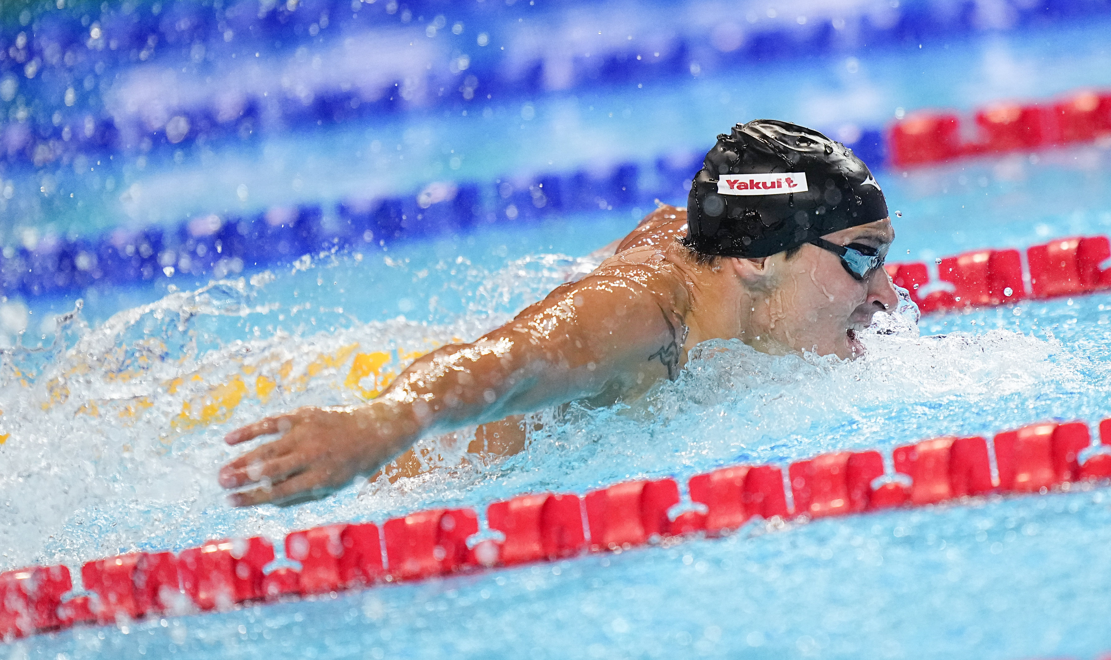 包含游泳选手刷新世界纪录，震撼全场的词条